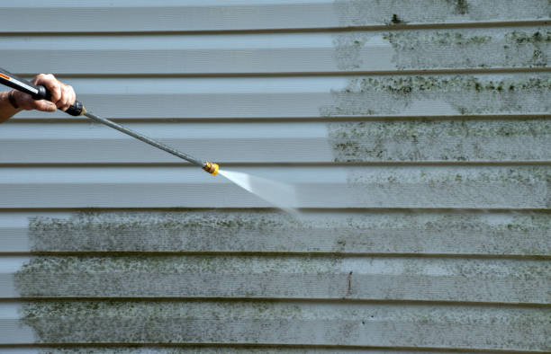 Trusted Hanceville, AL Pressure Washing Services Experts